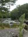 DSCN9142.JPG
