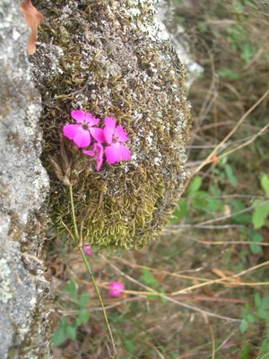 DSCN9143.JPG
