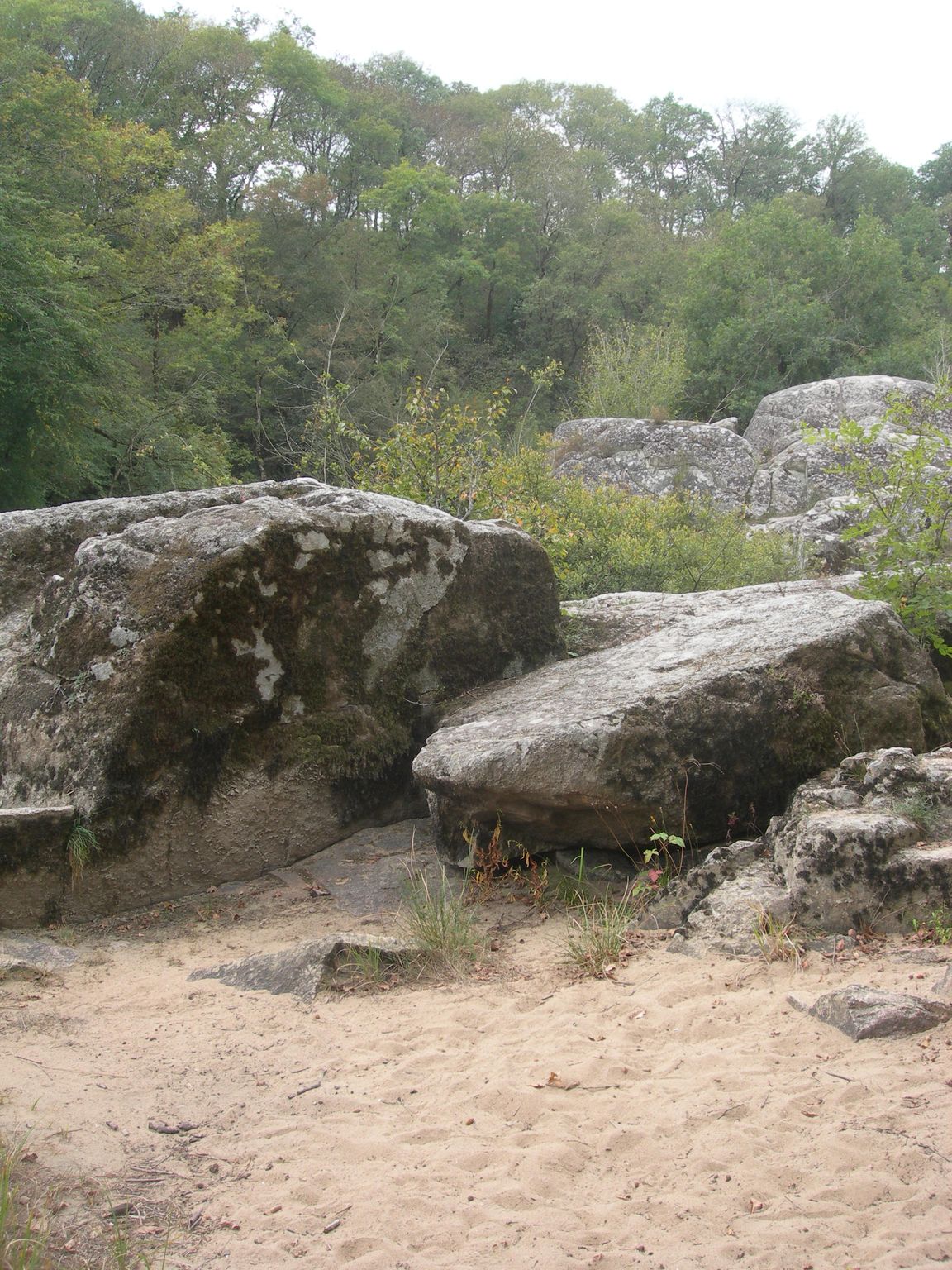 DSCN9144.JPG