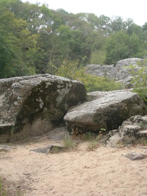DSCN9144.JPG
