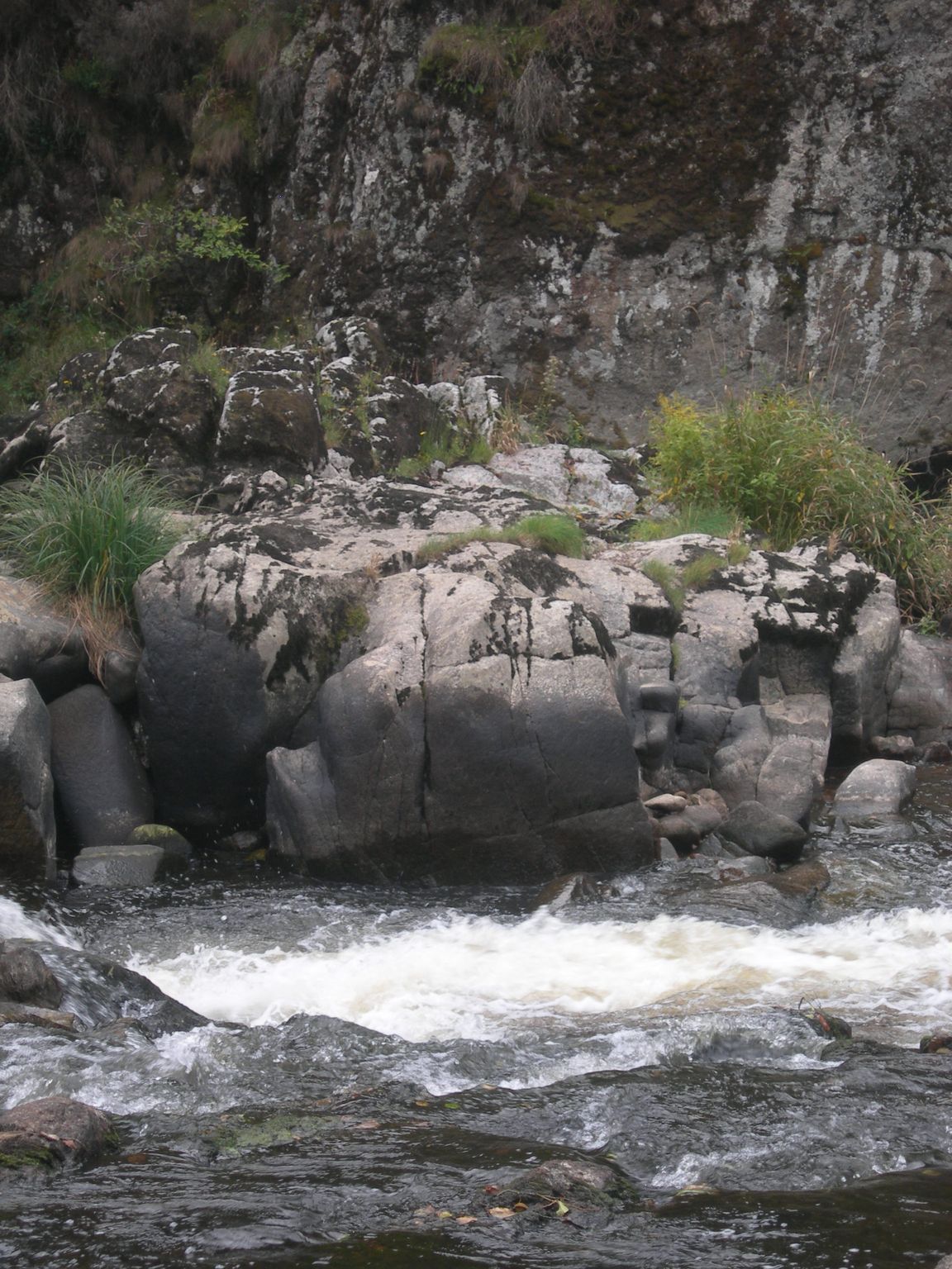 DSCN9146.JPG