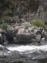 DSCN9146.JPG