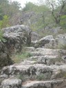 DSCN9147.JPG
