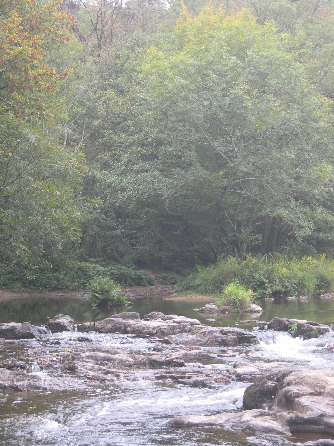 DSCN9150.JPG