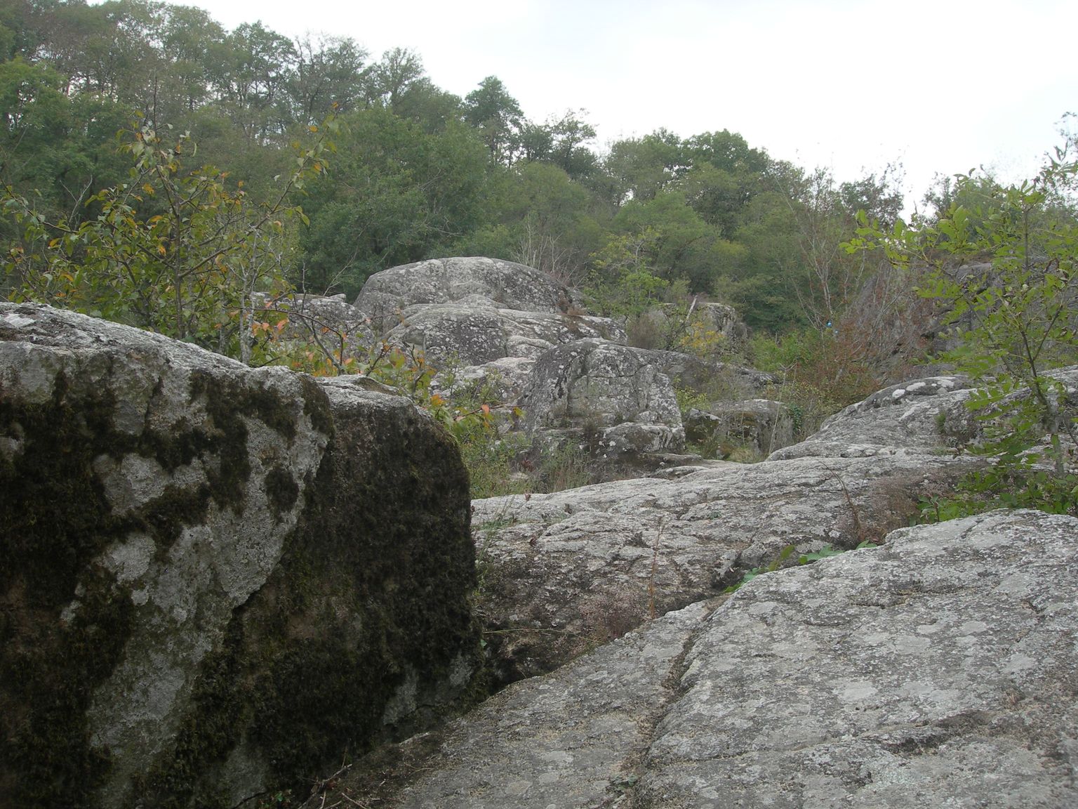 DSCN9152.JPG