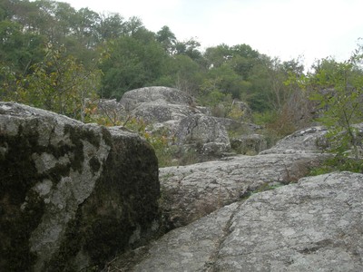 DSCN9152.JPG