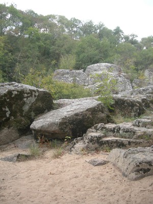 DSCN9153.JPG