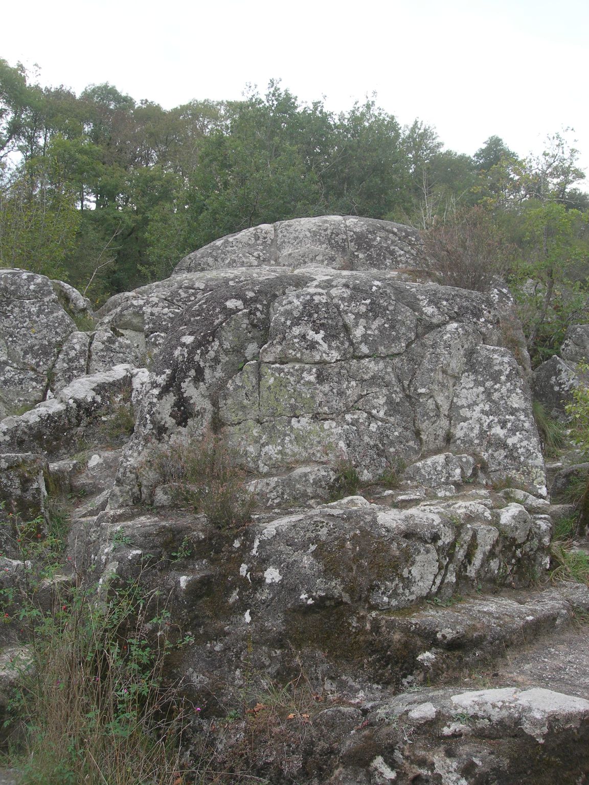 DSCN9154.JPG