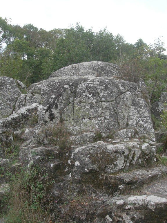DSCN9154.JPG