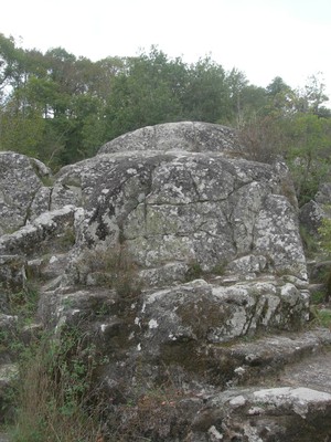 DSCN9154.JPG