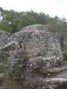 DSCN9154.JPG