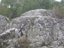 DSCN9155.JPG
