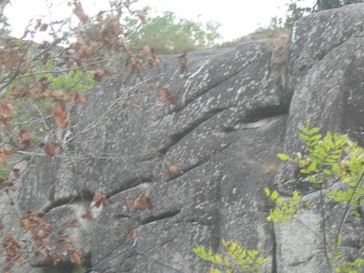 DSCN9156.JPG