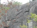 DSCN9156.JPG