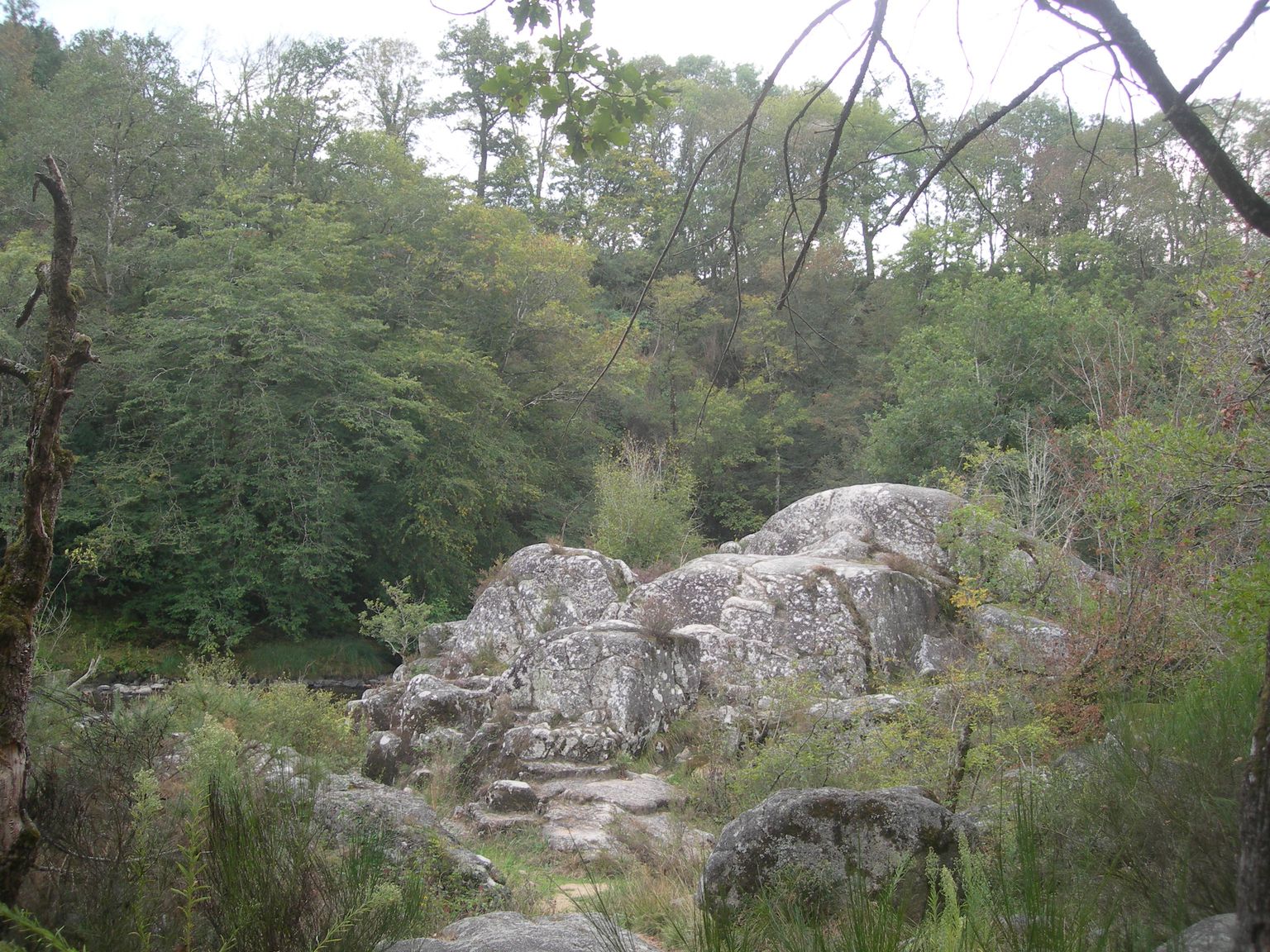 DSCN9157.JPG