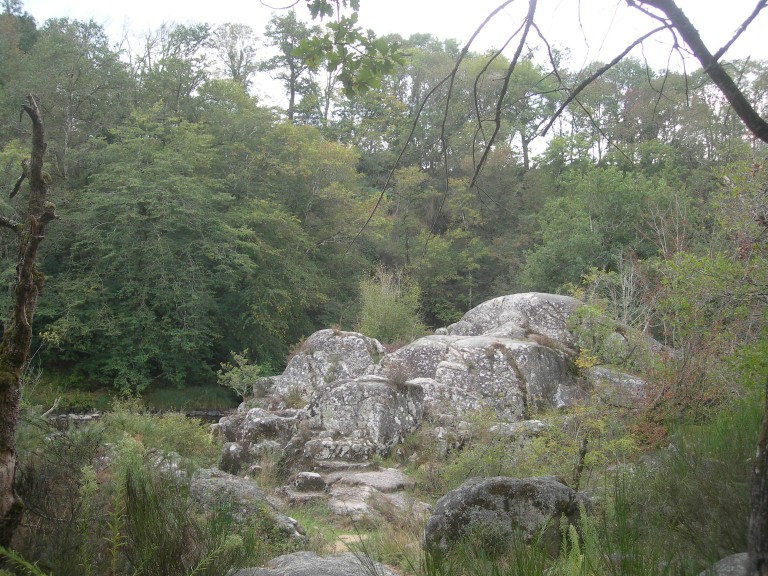 DSCN9157.JPG