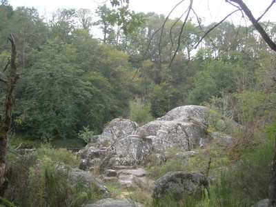 DSCN9157.JPG