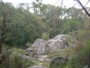 DSCN9157.JPG