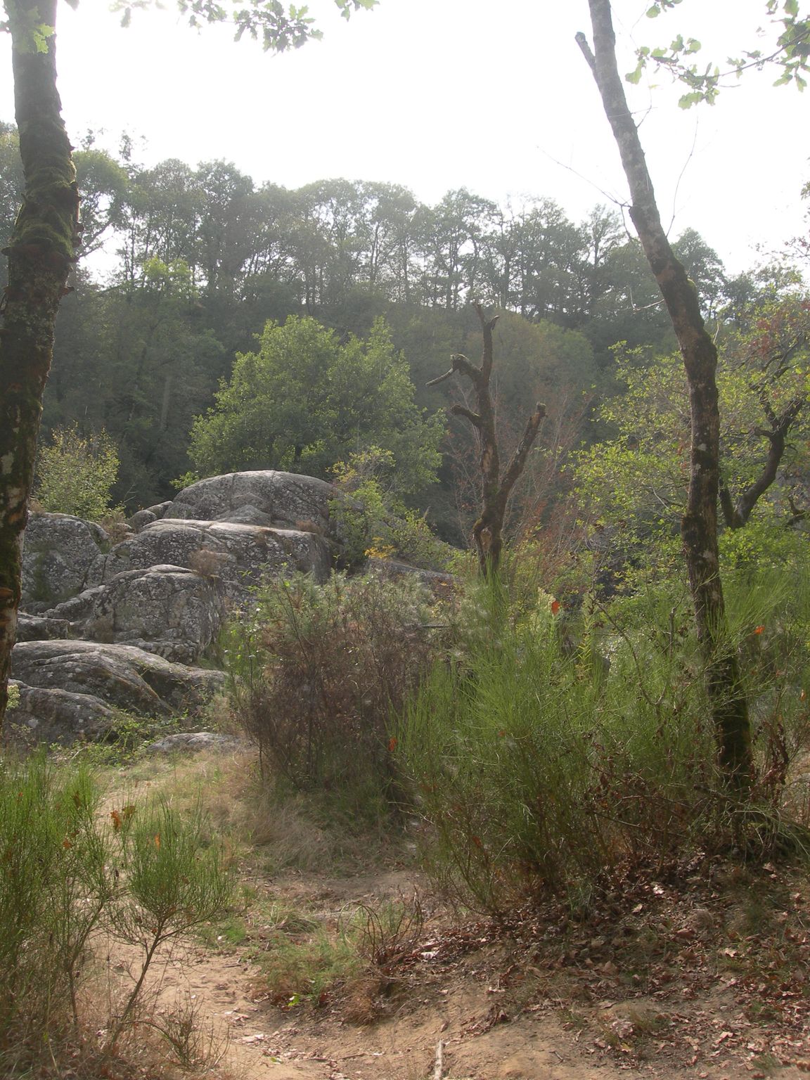 DSCN9160.JPG