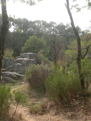 DSCN9160.JPG
