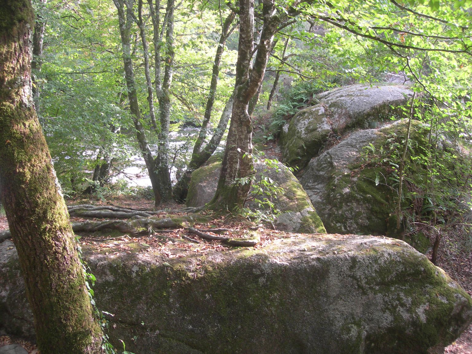 DSCN9161.JPG