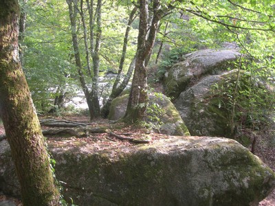 DSCN9161.JPG