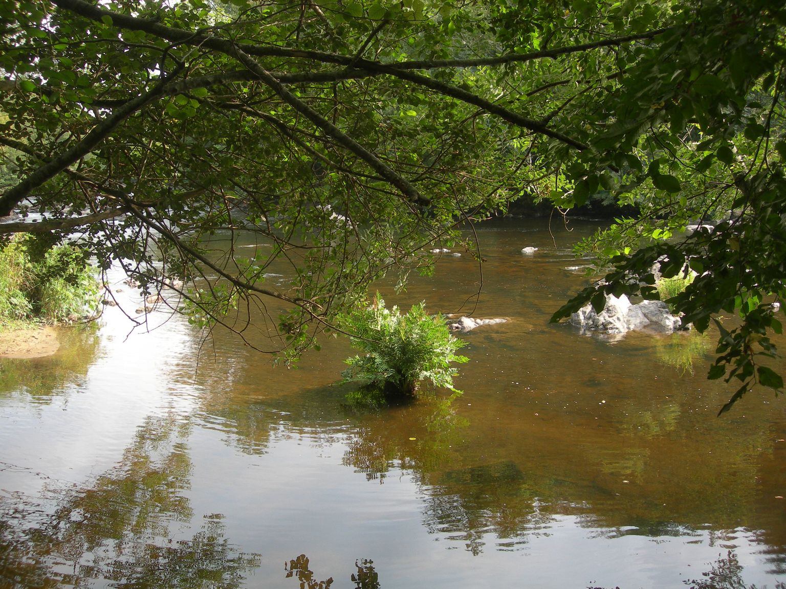 DSCN9162.JPG