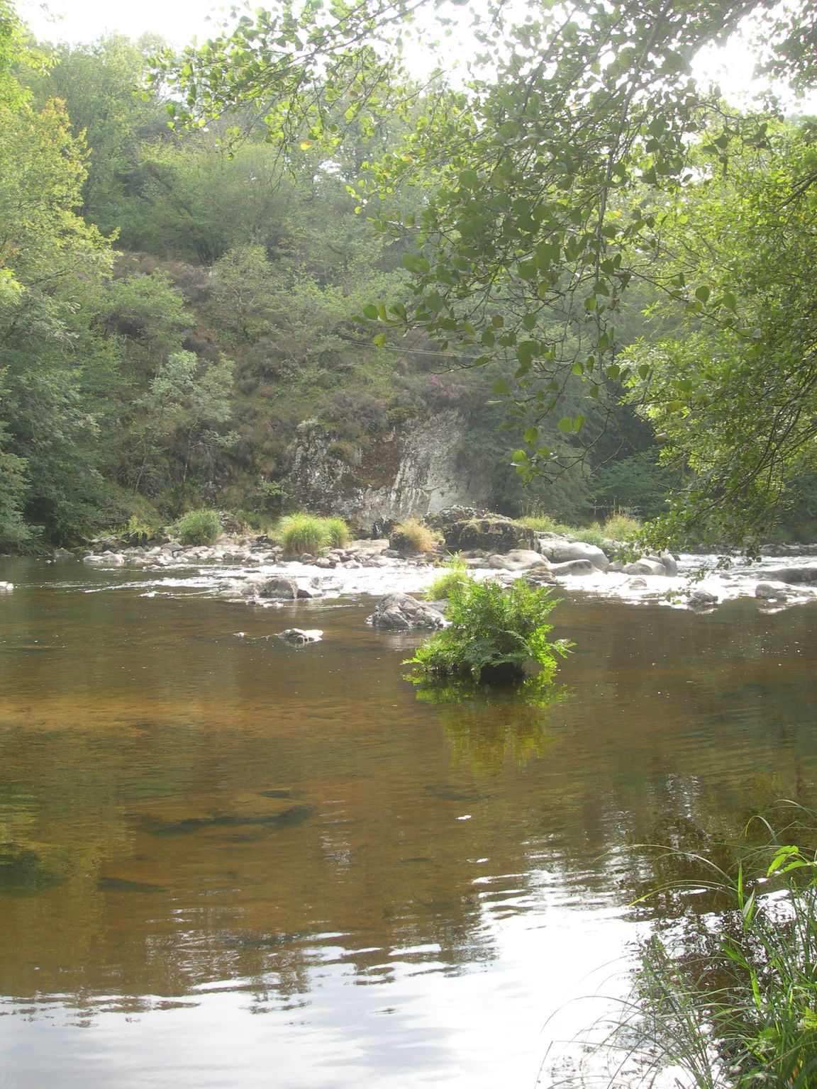 DSCN9163.JPG
