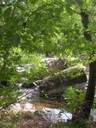 DSCN9164.JPG