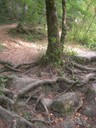 DSCN9165.JPG