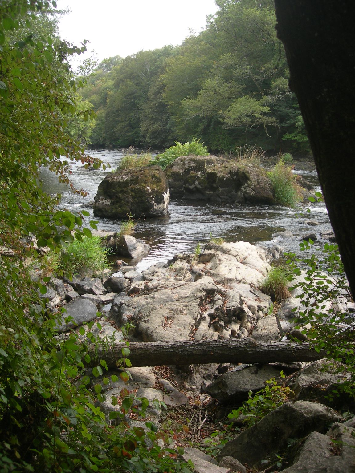 DSCN9166.JPG
