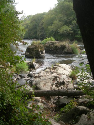 DSCN9166.JPG