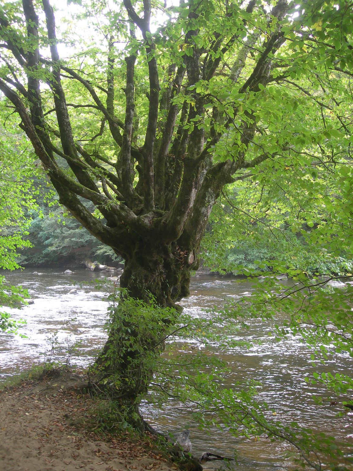 DSCN9167.JPG