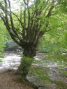 DSCN9167.JPG