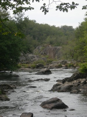 DSCN9168.JPG