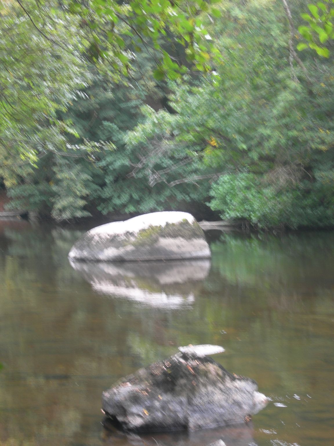 DSCN9170.JPG