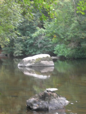 DSCN9170.JPG