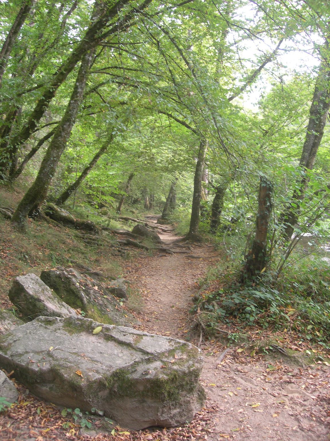 DSCN9171.JPG