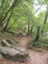 DSCN9171.JPG