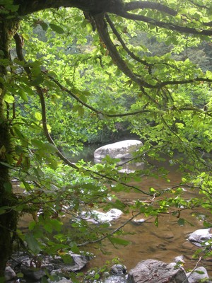 DSCN9172.JPG