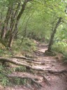 DSCN9173.JPG