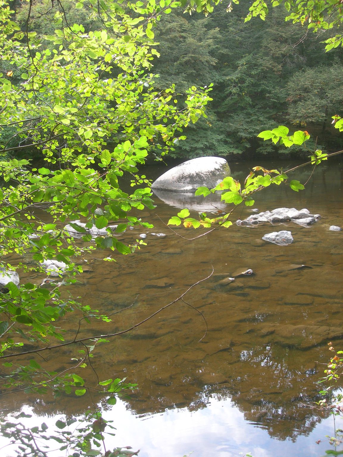 DSCN9174.JPG
