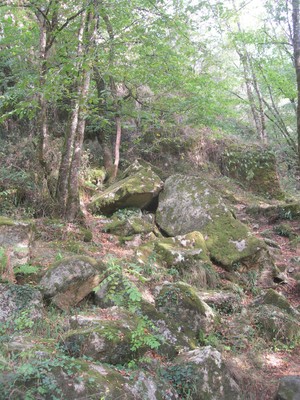 DSCN9175.JPG
