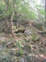 DSCN9175.JPG