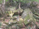 DSCN9176.JPG