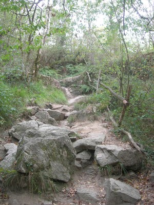 DSCN9178.JPG