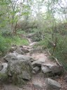 DSCN9178.JPG