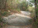 DSCN9179.JPG
