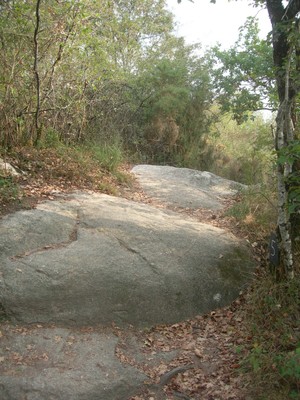 DSCN9180.JPG