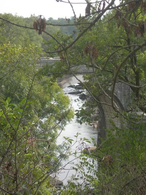 DSCN9181.JPG